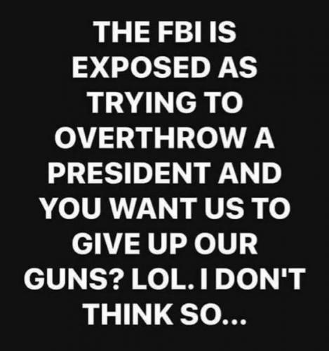 USA FBI exposed