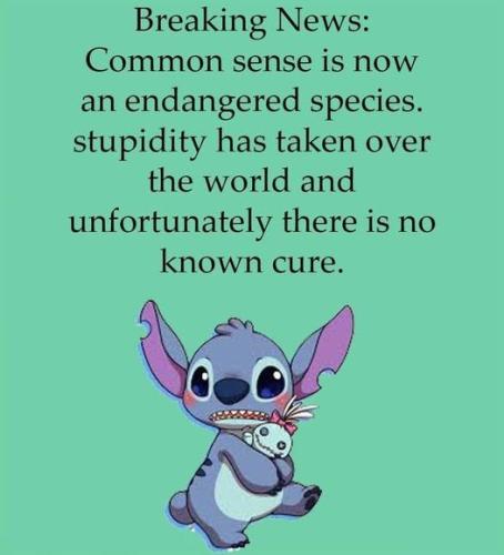 breaking news common sense is now and endangered species