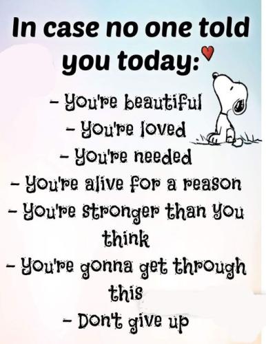 in case no one told you