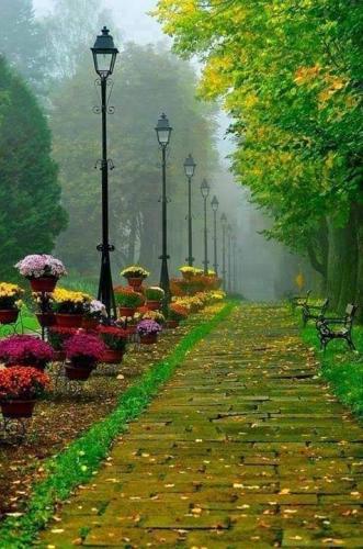 FB_IMG_1659312823516