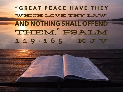 bbffb1f3a5f9255982b704fb7641ab41