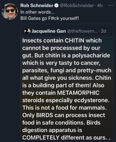 Don't eat insects