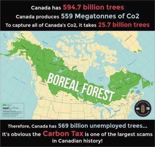 Boreal Forest