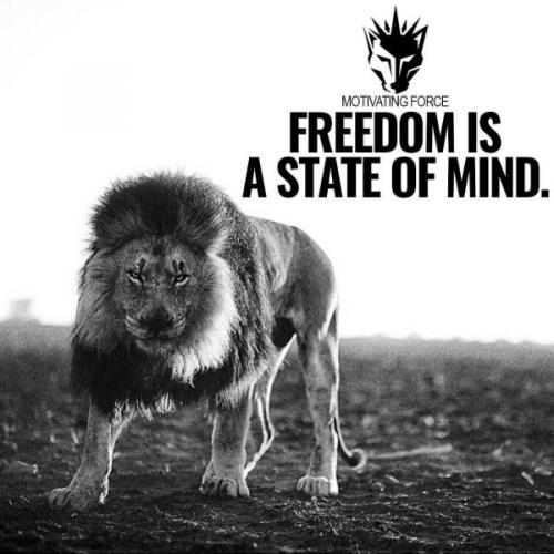 2B52F77D-E0A5-4E49-BA17-3AAA538DC6FD