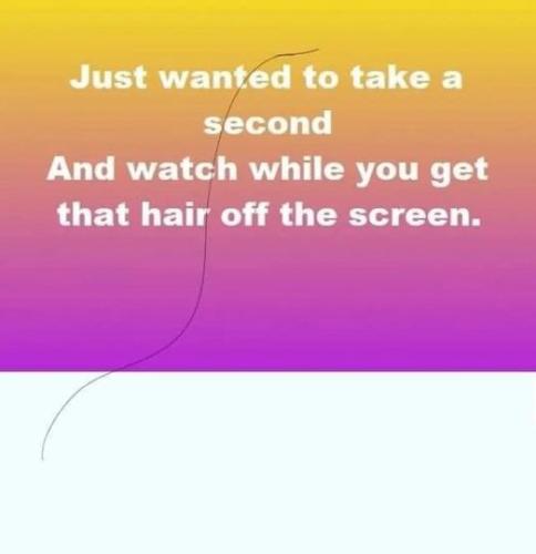 just wanted to take a second