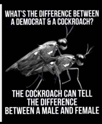 what the difference between a democrat and a cockroach