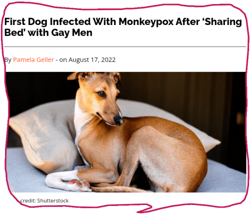 snapshot_gellerreport.com_1660922111824