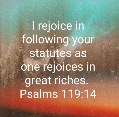 Screenshot_20220806-092743_Bible