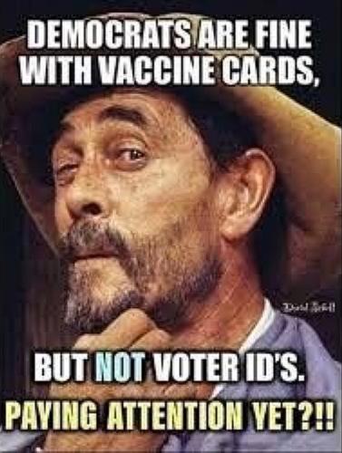 USA voter ID 2
