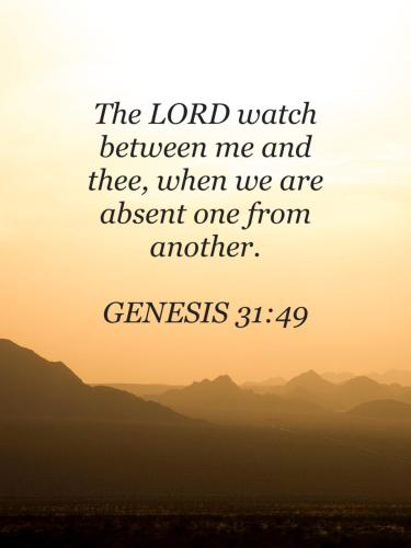 84EB4A53-0D03-4D00-9922-BEBE0B7C77DD