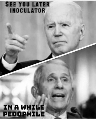 d3ccb13f-6064-434e-a6be-4577406b9c03