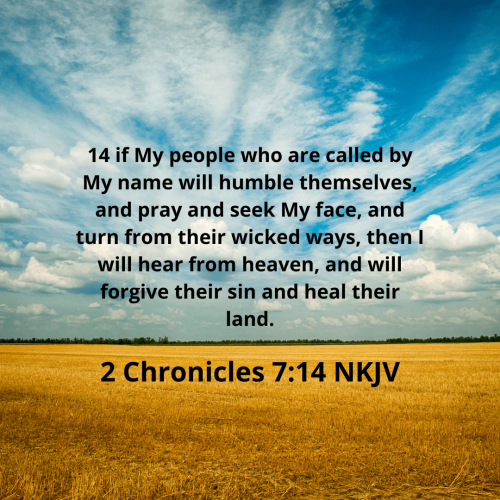 0B6DEDFF77474CA9E8B63505C411AA92.bible118-min