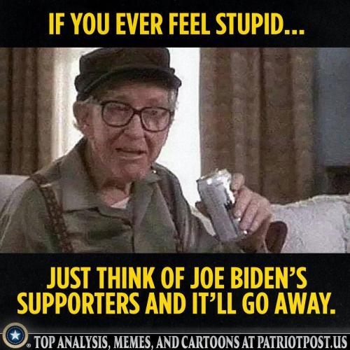 Stupid