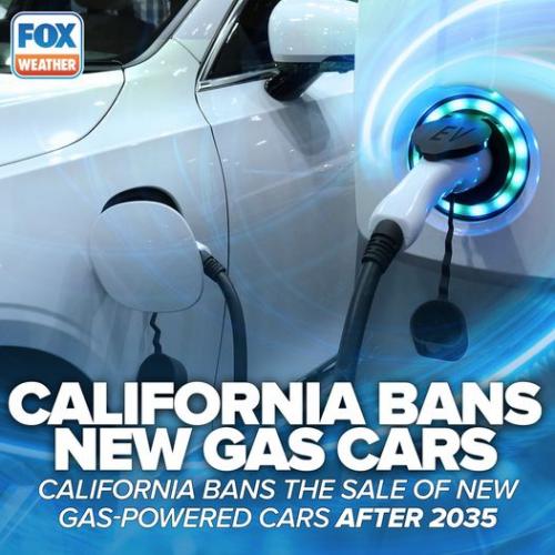 301361793_184139897459646_3977834349508330963_n