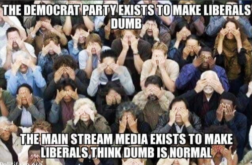 USA democrat party