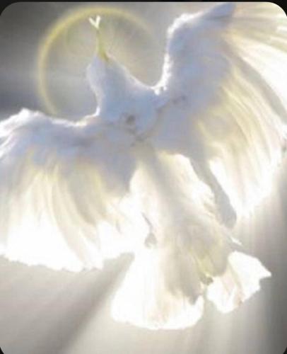 350dee17-bee5-4f79-9949-7eb2a4970712