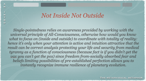 Screen Shot 2022-08-11 at 10.42.20 AM