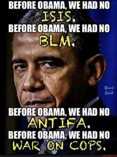 Obama bastard 28