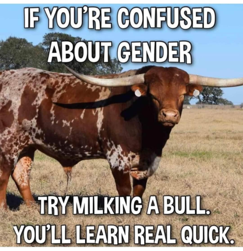 4e031d0d12736f52