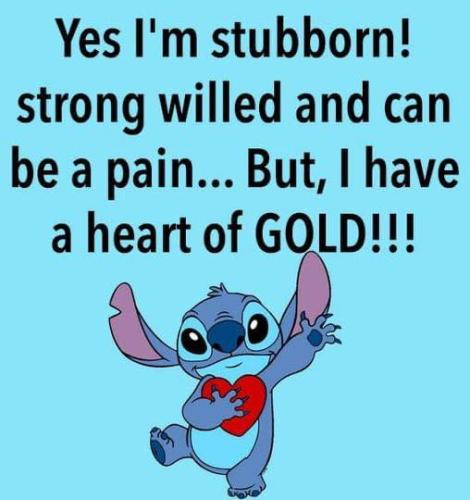 yes im stubborn