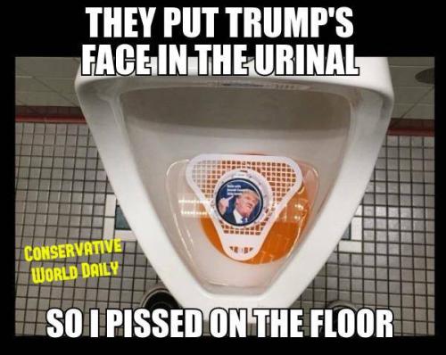 DonaldLevity