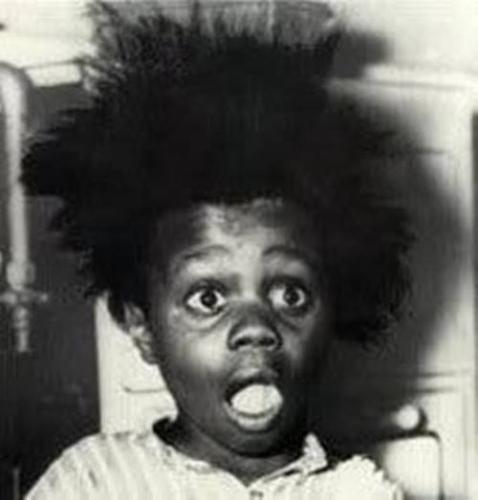 Buckwheat