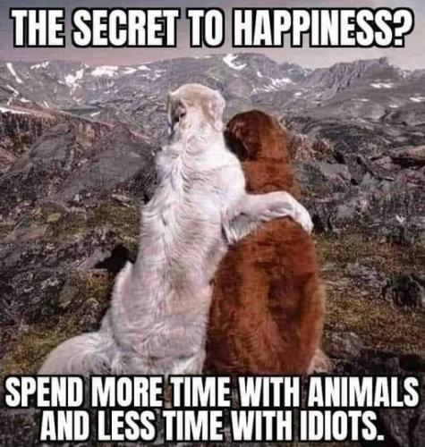 the secret to happiness