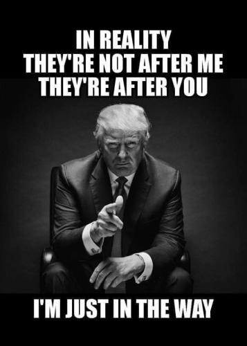 JustInTheWay2020MAGA