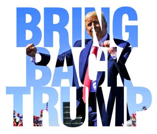 Bring Back Trump    (Maga)
