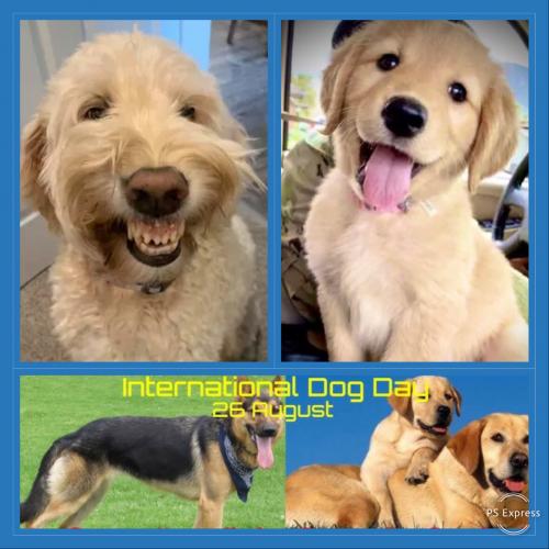 21307C72-6E71-4359-9F5A-D630EDC2750D