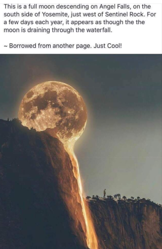 Screenshot_2019-11-02-08-35-02(1)