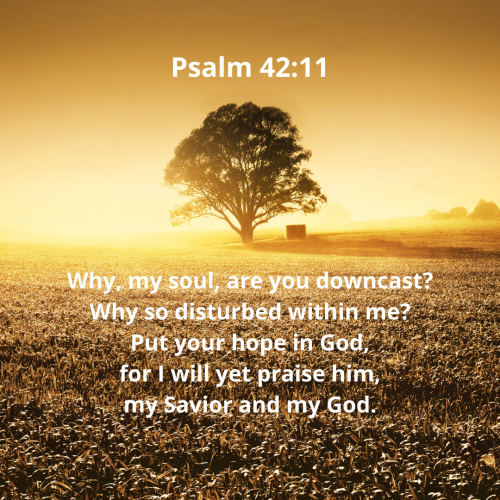 05844092D445E9D931CB12202AD19FBA.bible32