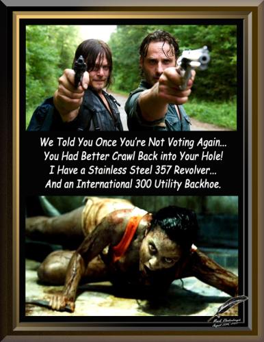 2022 Election Poll Watchers