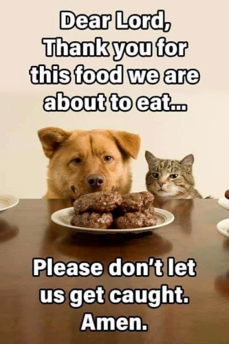 B390B5E0-BE2D-4BE8-9DC3-0B3E112131AF