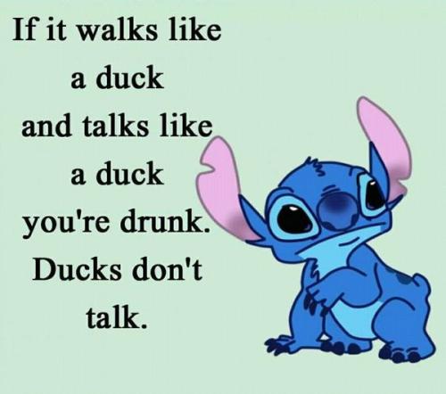 if it walks like a duck