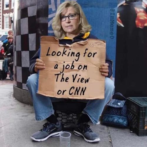 liz looking for work