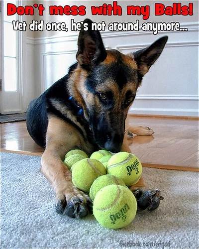 BB470E0E-94A8-4784-B874-715A97908CB8