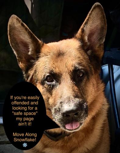 AB558CA3-905A-407E-9C84-97B7D0749D74