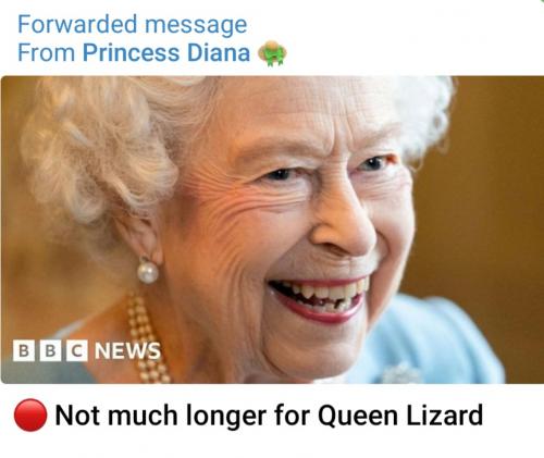 Screenshot_20220908-152121_Telegram