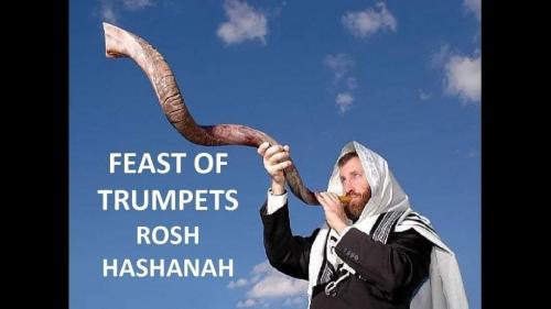 received_5501872946564530