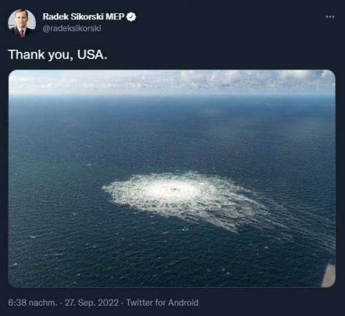 d2e0309d-d92a-49d4-b411-983a67e1274f