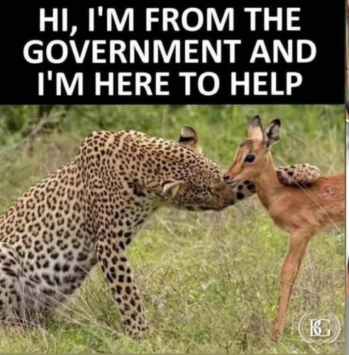 FB_IMG_1662775508811