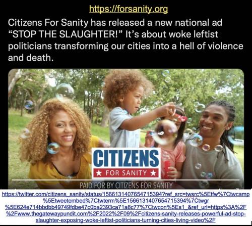 Citizens for Sanity