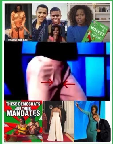 Screenshot_20220930-033952_Gallery