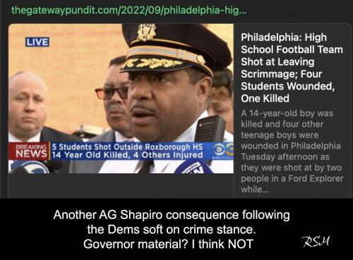 Shapiro 21