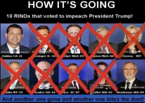 RINOs