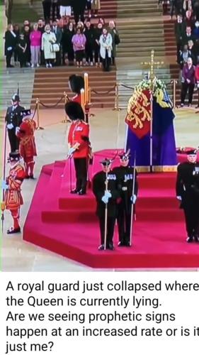 Screenshot_20220915-104938_Gallery