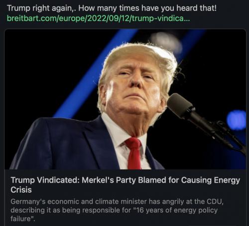 T Merkel energy crisis