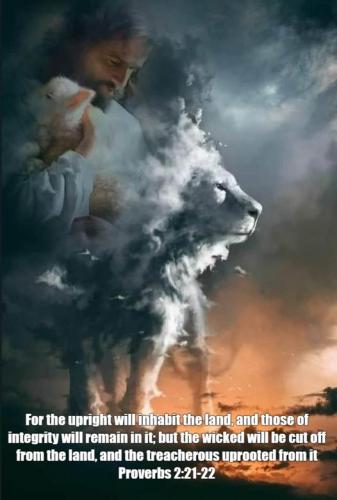 Lion & lamb