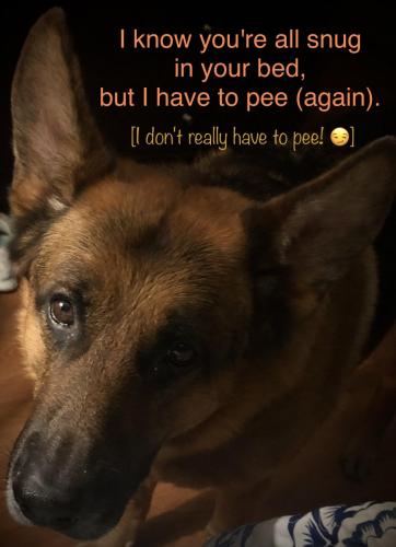 AF71ED18-156A-4103-B51A-0067A5419BC7